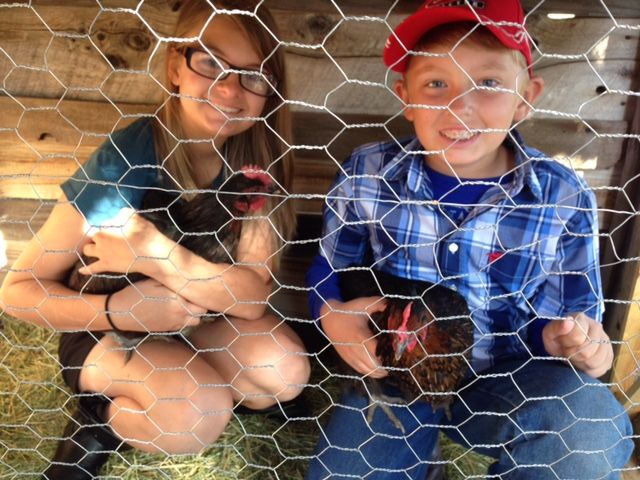 Readers show their chickens